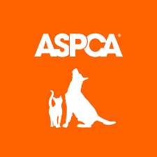 American Society for the Prevention of Cruelty to Animals